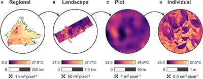 A Research Agenda for Microclimate Ecology in Human-Modified Tropical Forests